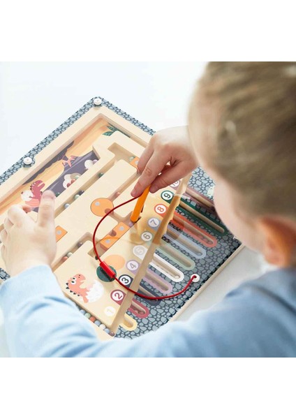 Dinozor Yumurtası Labirenti modelleri