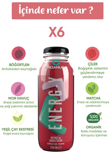 Energ-Y Smoothie 6lı Paket