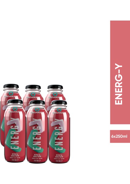 Energ-Y Smoothie 6lı Paket fiyatları