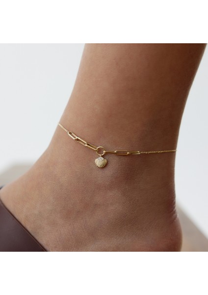 Deniz Kabuğu Halhal fiyatları