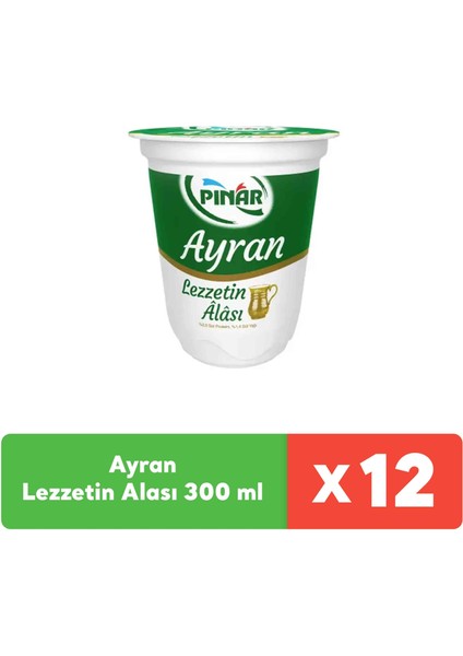 Ayran Lezzetin Alası 300 ml x 12 Adet