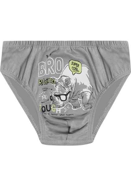 Özkan 31801 5'Li Paket Erkek Çocuk Karışık Renkli Desenli Pamuklu Yumuşak Rahat Slip Külot modelleri
