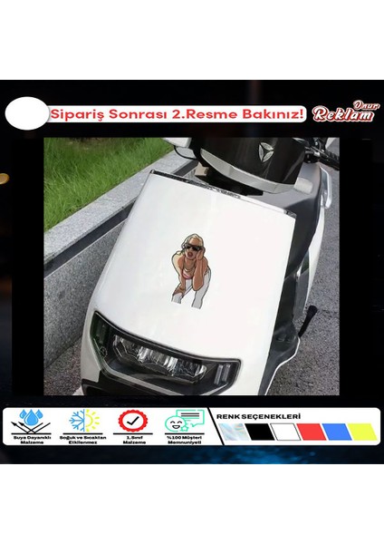 Gta San Andreas - Denise Robinson Sticker - Motorsiklet / Araba Çıkartması - 15X10CM