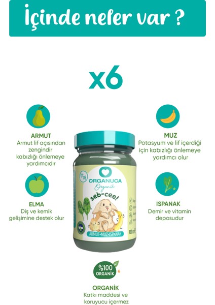 Organik Bebek Maması 6'lı x 100ML Seb-Cee Bebek Maması