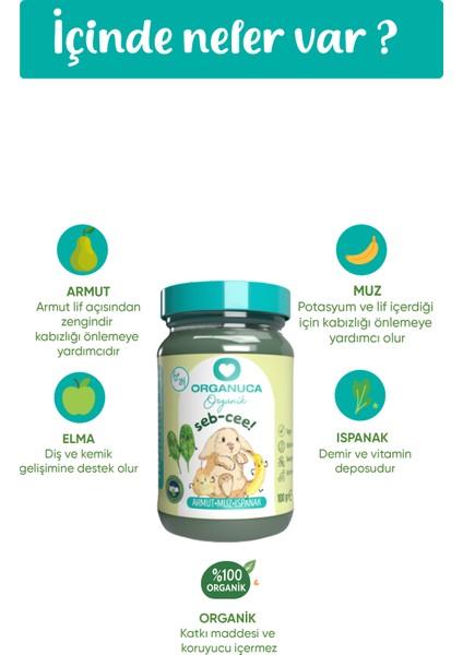 Organik Bebek Maması Seb-Cee 100GR