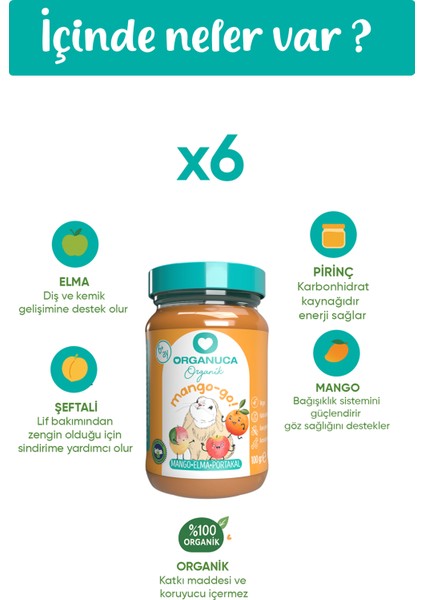 Organik Bebek Maması 3'lü x 100ML Seb-Cee