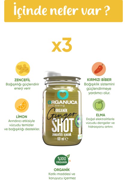 Organik Zencefil Shot 3'lü Paket