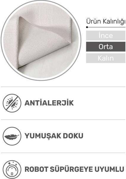 Kehribar Yumuşak Dokulu Salon Halısı – Tozumaz, Robot Süpürge Uyumlu, 4 M’ye Kadar En Seçeneği fiyatları