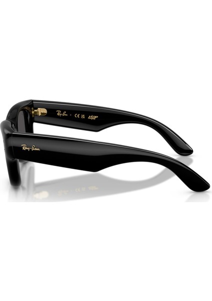 RB4940 601/87 47 A$ap Rocky Unisex Güneş Gözlüğü fırsatları