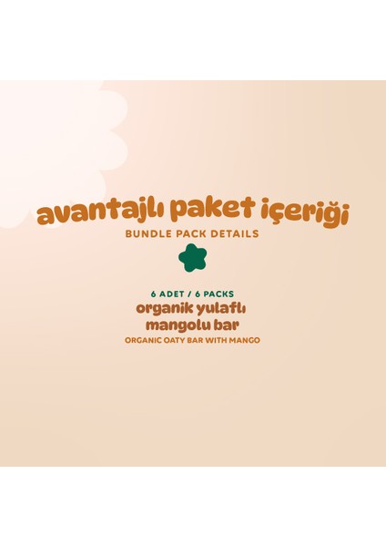Organik Vegan Mangolu Yulaf Bar - 6 Adet modelleri