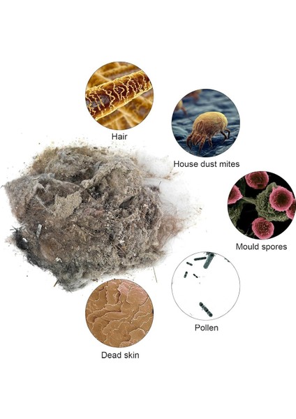 Esnek Dar Alan Başlığı, Elektrikli Süpürge Aleti, Başlık Uzatma Aksesuarları (Yurt Dışından) indirimleri