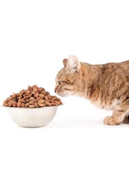 KEDİ BAKIM LÜKS SET 1