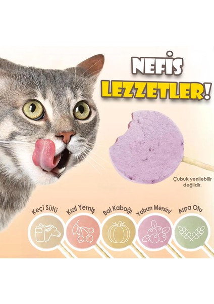 Süper Kedi Ödül Set 1 modelleri