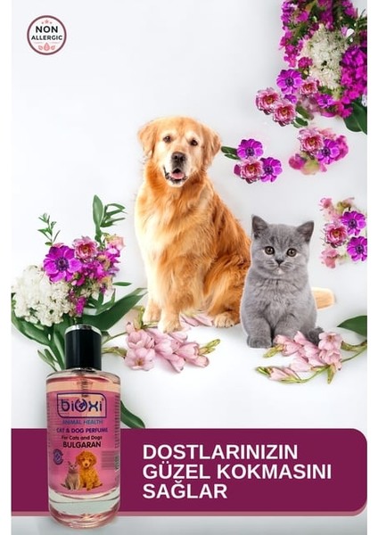 Buharlı Tarak - Malt ve Parfüm Set indirimleri