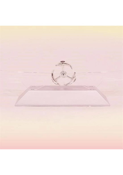 Dekoratif Masa Üstü Obje Manyetik Kinetik Orbital Dönen Yunuslar