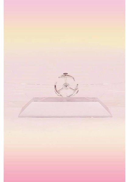 Dekoratif Masa Üstü Obje Manyetik Kinetik Orbital Dönen Yunuslar fırsatları