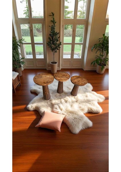 3'lü Açık Ceviz Renk Mantar Sehpa Seti fiyatları