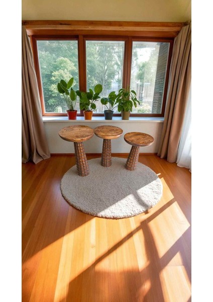 3'lü Açık Ceviz Renk Mantar Sehpa Seti modelleri