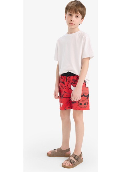 Erkek Çocuk NBA Chicago Bulls Deniz Şortu E6484A825HS modelleri