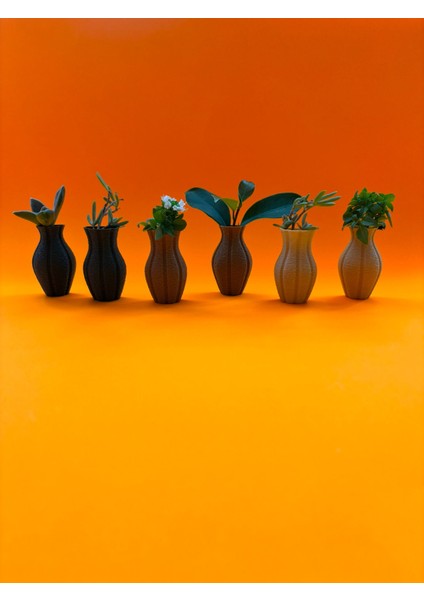 Fuzzy Mini Saksı Magnetli Set (6 Adet) fiyatları