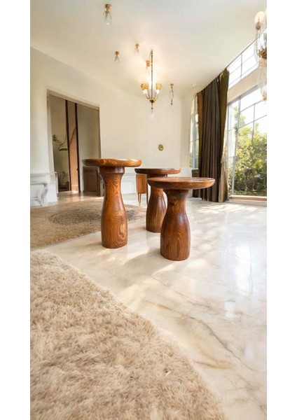 Minimalist Tarzda 3’lü Ahşap Mantar Sehpa – Açık Ceviz Renk fiyatları