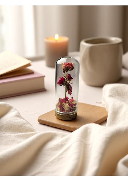 Pisidia Pembe Gül Kapsülü – El Yapımı Gül Fanus, Doğal, Dekoratif, Masa Biblosu Hediyelik, Romantik