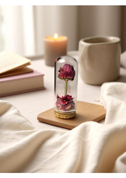 Pisidia Kırmızı Gül Kapsülü – Kurutulmuş Çiçek Fanusu, Antik, Dekoratif Biblo, Düğün, Nişan