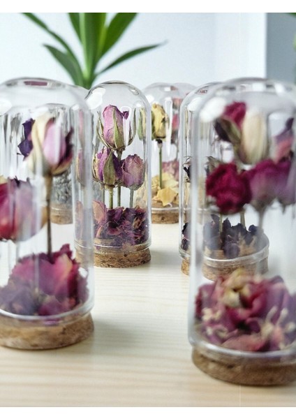 Pisidia Kırmızı Gül Kapsülü – Kurutulmuş Çiçek Fanusu, Antik, Dekoratif Biblo, Düğün, Nişan modelleri