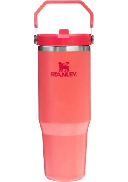 The Iceflow™ Flip Straw 2.0 Tumbler 0.89L / 30OZ