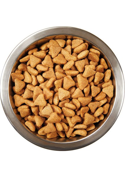 Kuzu Etli & Pirinçli Yetişkin Köpek Maması modelleri
