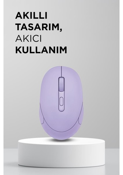 Tm-17 Mor Çift Modlu Sessiz Kablosuz Mouse Fare modelleri