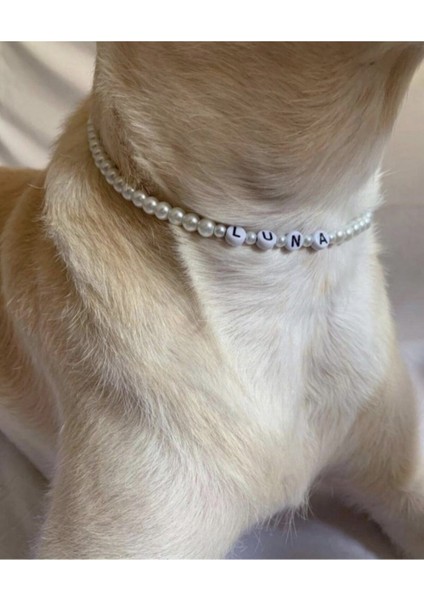 Incili Kedi ve Köpek Tasması Isim Detaylı