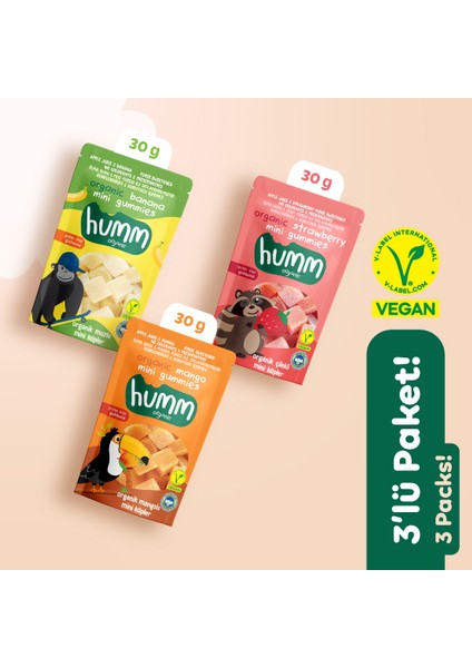 Organik Glutensiz Vegan Muzlu Çilekli ve Mangolu Mini Küpler Atıştırmalık Paketi - 3 Adet (3 Çeşit)