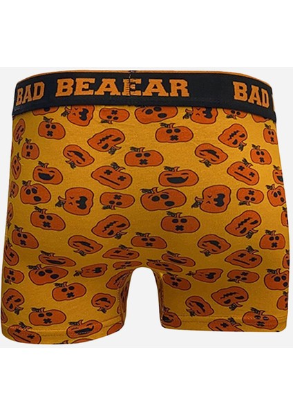 Hardal Balkabağı Desenli Erkek Boxer fiyatları