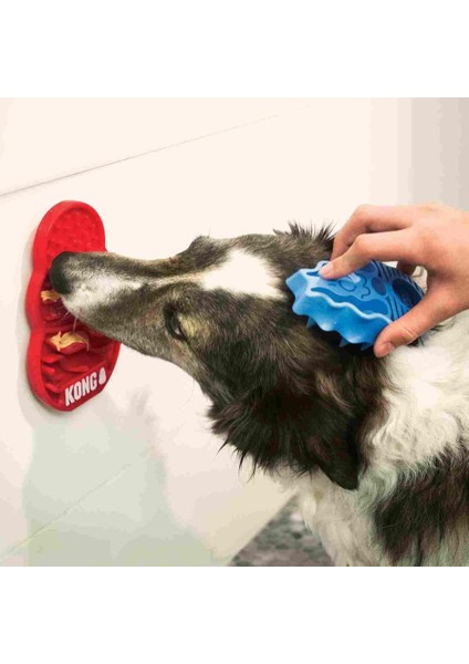 Licks Köpekler Için Sıvı Ödül Maması Oyuncağı Large fiyatları