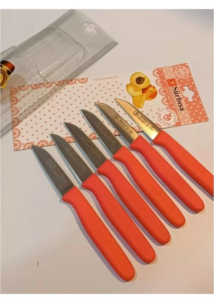 Sürbisa Meyve Takımı Turuncu (6'LI)61007 7.0 cm