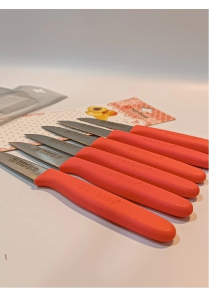 Sürbisa Meyve Takımı Turuncu (6'LI)61007 7.0 cm fırsatları