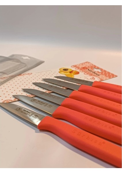 Sürbisa Meyve Takımı Turuncu (6'LI)61007 7.0 cm indirimleri