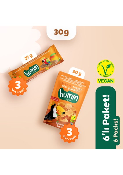 Organik Vegan Mangolu Meyveli Küp & Yulaf Bar Atıştırmalık Paketi - 6 Adet (2 Çeşit)