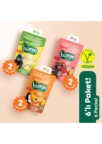 Organik Glutensiz Vegan Muz Çilek ve Mango Mini Küpler Atıştırmalık Paketi - 6 Adet (3 Çeşit)