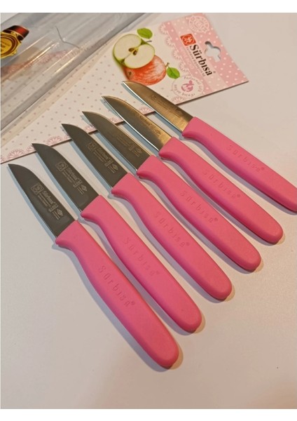Sürbisa Meyve Takımı Pembe 6'lı 61007 7.0 cm indirimleri