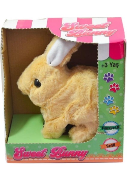 40098 Tavşan Peluş Pilli-Aya Toys