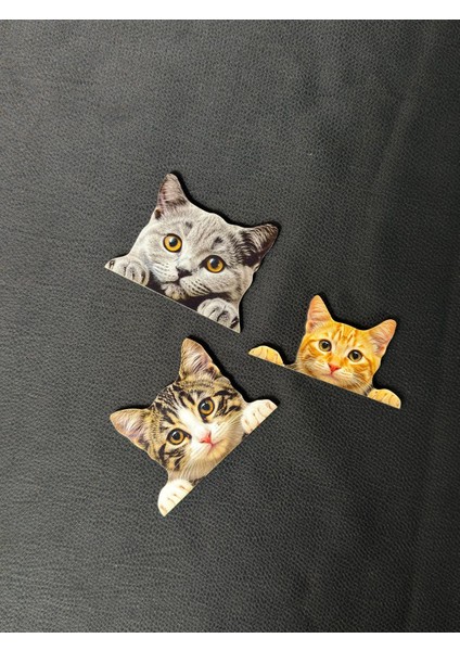 Üçlü Sevimli Kedi Figürlü Priz Üstü Süs - Dekoratif Aksesuar