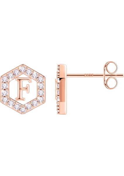 Laatikui Damızlık Küpe Kızlar Için S925 Gümüş 14K Altın Kaplama Kübik Zirkonya Küpe (Yurt Dışından)