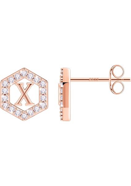 Laatikui Damızlık Küpe Kızlar Için S925 Gümüş 14K Altın Kaplama Kübik Zirkonya Küpe (Yurt Dışından)