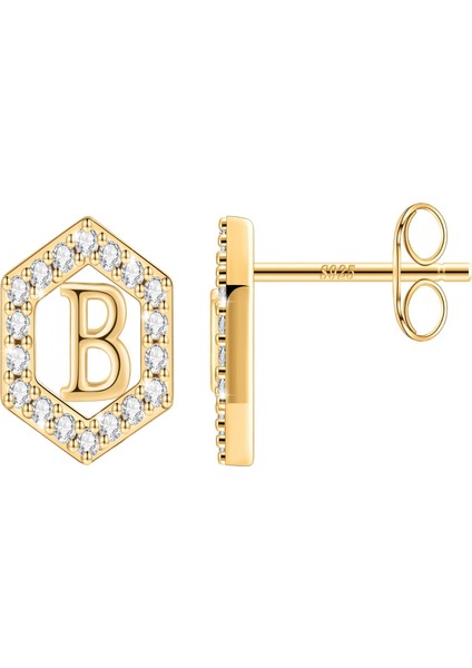 Laatikui Damızlık Küpe Kızlar Için S925 Gümüş 14K Altın Kaplama Kübik Zirkonya Küpe (Yurt Dışından)