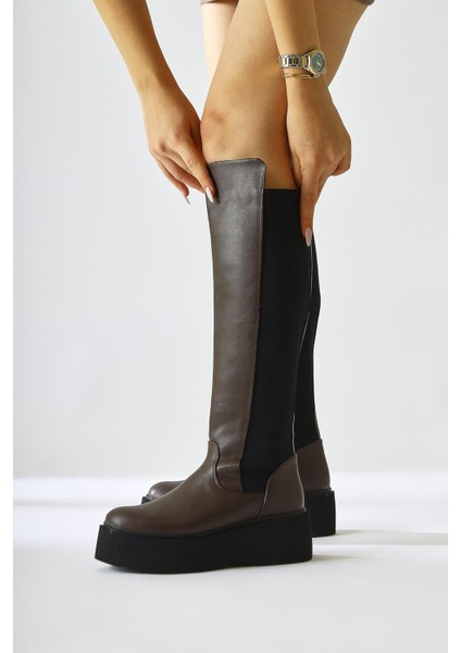 Ceres Kahve Platform Çizme