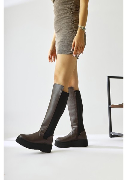 Ceres Kahve Platform Çizme fırsatları