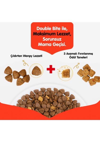 Tahılsız Sığır Etli Yetişkin Köpek Maması 1,5 kg fiyatları