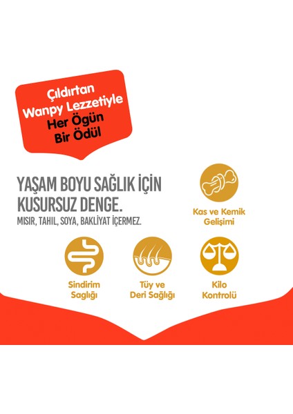 Tahılsız Sığır Etli Yetişkin Köpek Maması 1,5 kg fırsatları